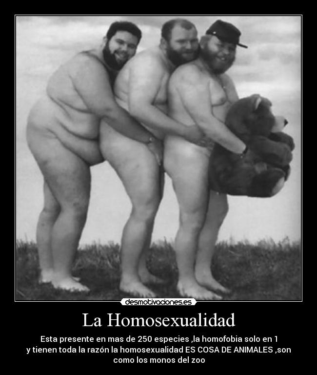 carteles asasdasdasadadchadadsasdasdas rapid clanhoygan clancii desmotivaciones