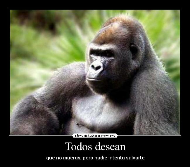 Todos desean - que no mueras, pero nadie intenta salvarte
