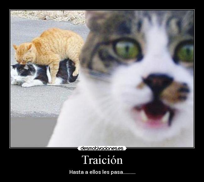Traición - Hasta a ellos les pasa..........