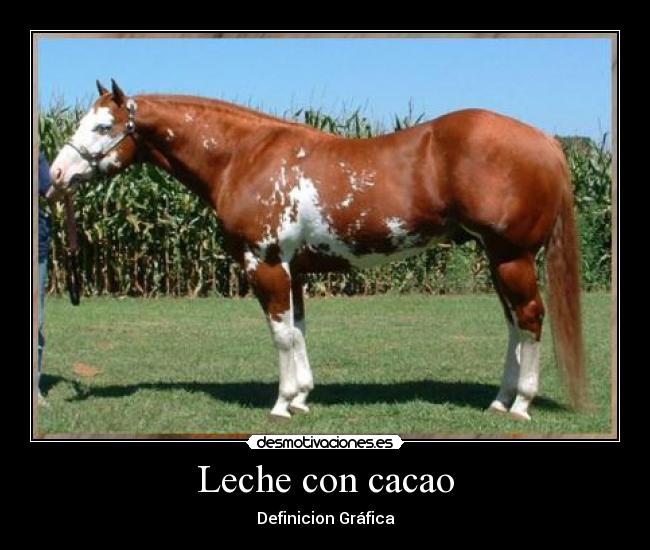 Leche con cacao - Definicion Gráfica