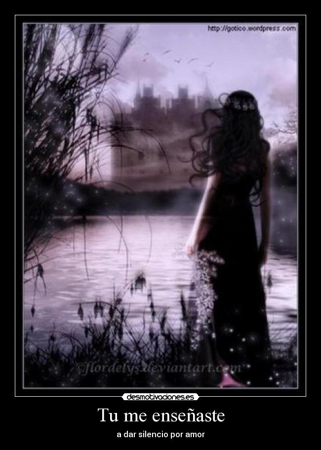 Tu me enseñaste - a dar silencio por amor