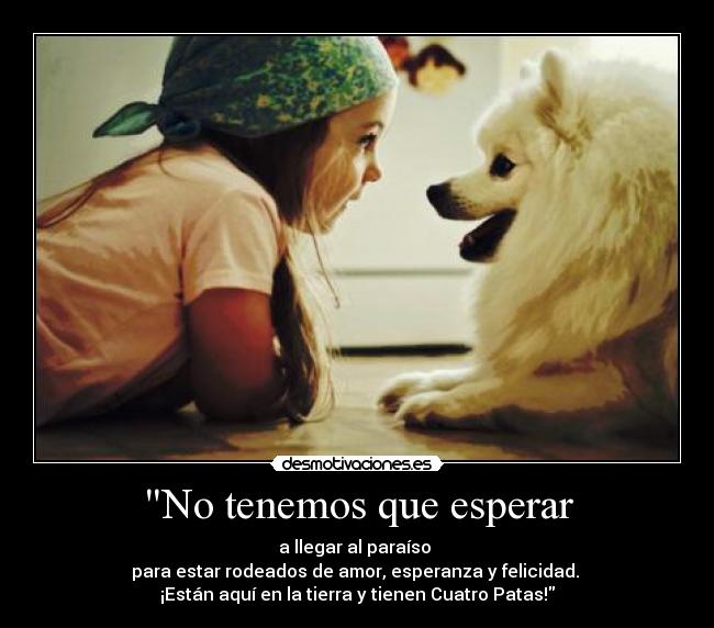 No tenemos que esperar - a llegar al paraíso
para estar rodeados de amor, esperanza y felicidad.
¡Están aquí en la tierra y tienen Cuatro Patas!