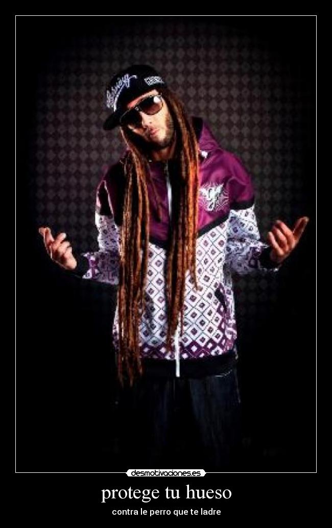 protege tu hueso - contra le perro que te ladre