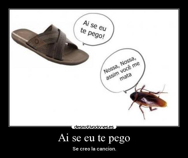 carteles chancla cucaracha pego desmotivaciones desmotivaciones