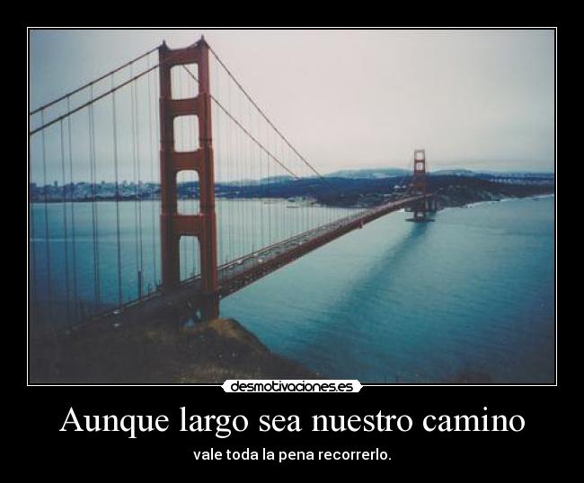 carteles puente vida desmotivaciones