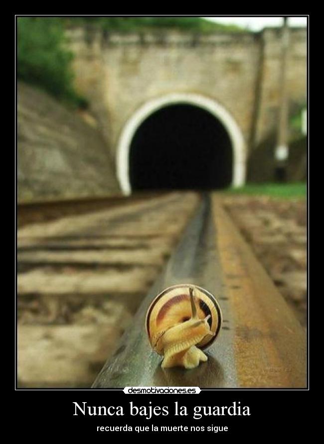 Nunca bajes la guardia - recuerda que la muerte nos sigue