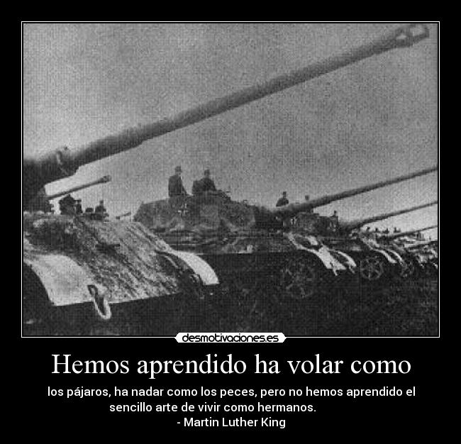 Hemos aprendido ha volar como -