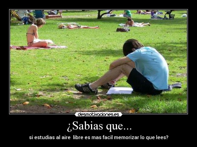 ¿Sabias que... - si estudias al aire libre es mas facil memorizar lo que lees?