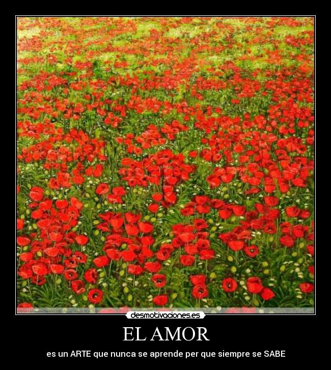 EL AMOR - 