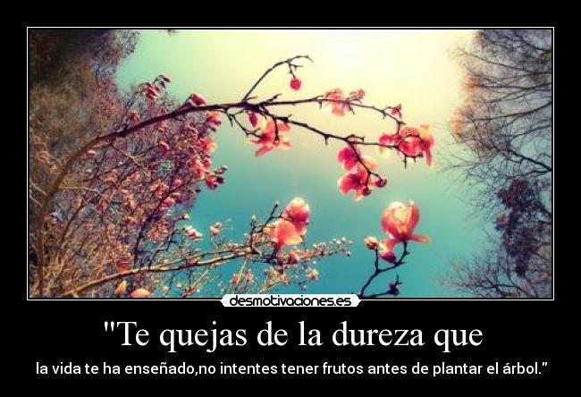 Te quejas de la dureza que -