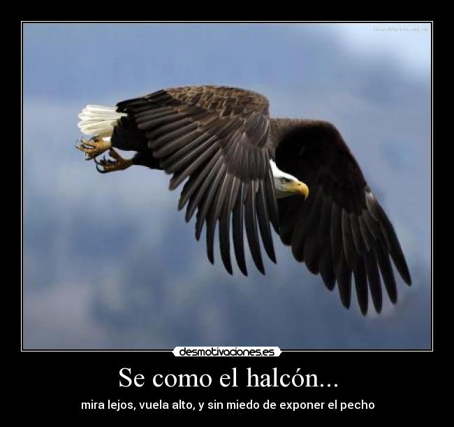 carteles alma pena desmotivaciones