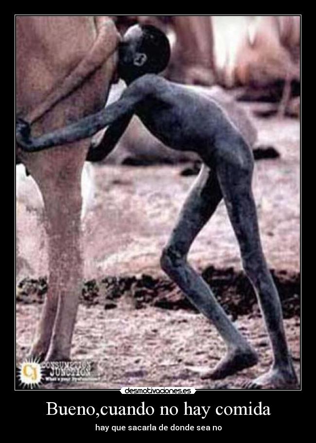 carteles comida feliz 2012 desmotivaciones