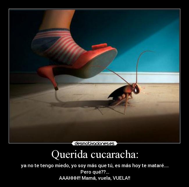 carteles cucaracha desmotivaciones