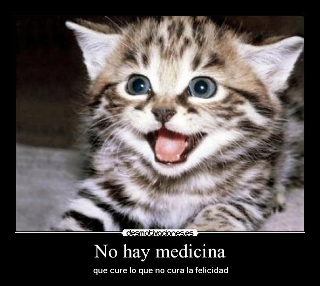 No hay medicina - que cure lo que no cura la felicidad