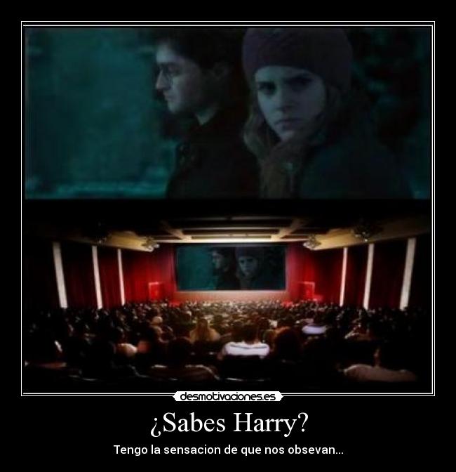 ¿Sabes Harry? - Tengo la sensacion de que nos obsevan...