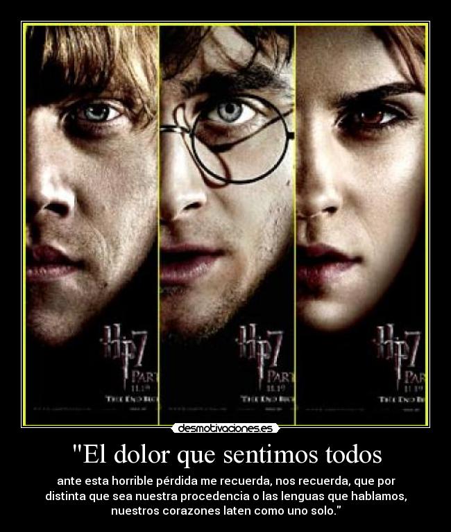 carteles dolor harry potter frase todos juntos desmotivaciones