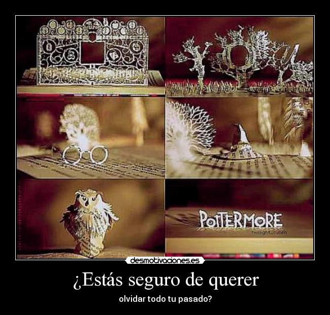 ¿Estás seguro de querer -