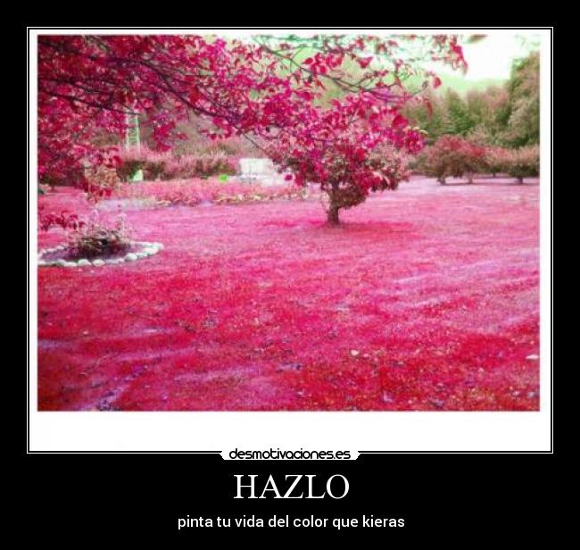 HAZLO - pinta tu vida del color que kieras