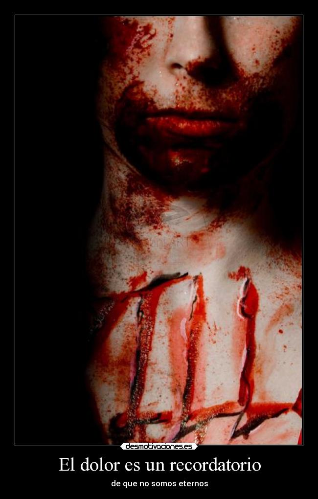 El dolor es un recordatorio -