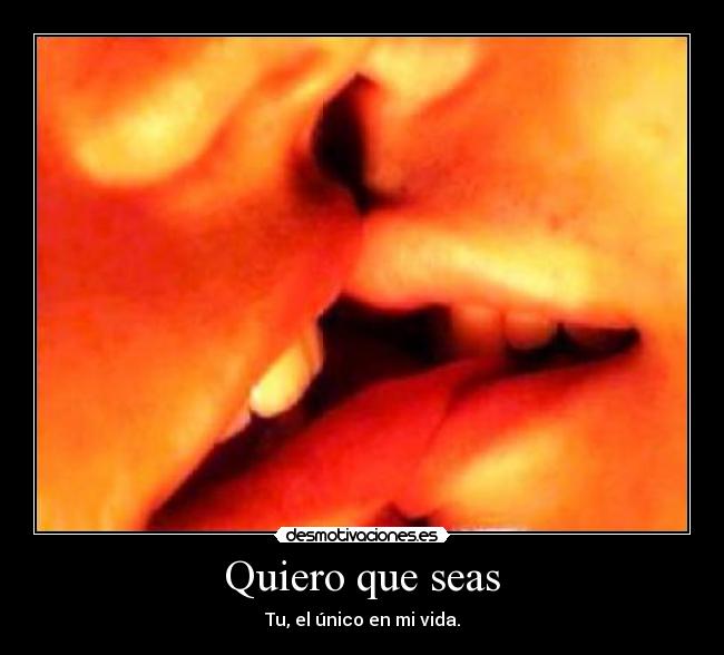 Quiero que seas - Tu, el único en mi vida.