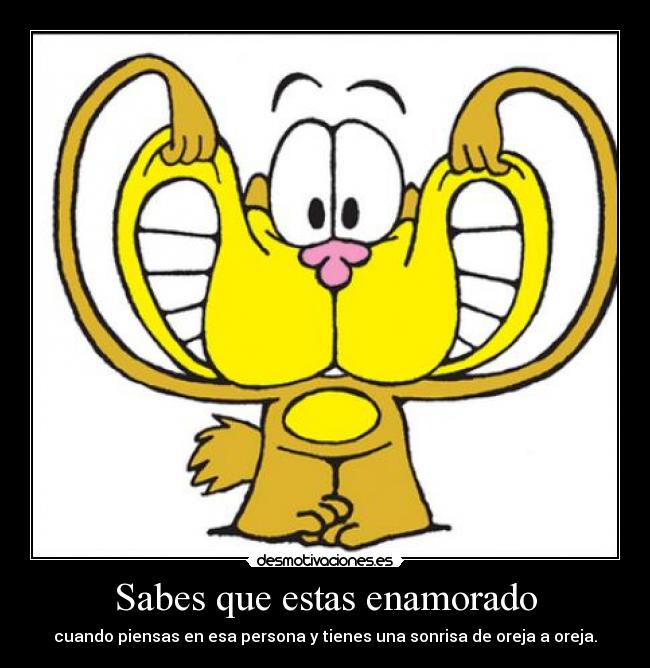 Sabes que estas enamorado - 