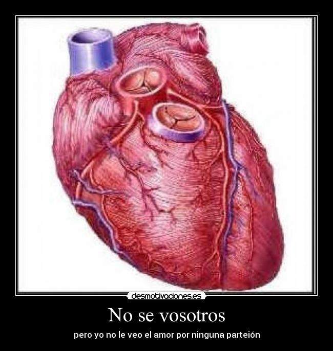 No se vosotros - pero yo no le veo el amor por ninguna parteión