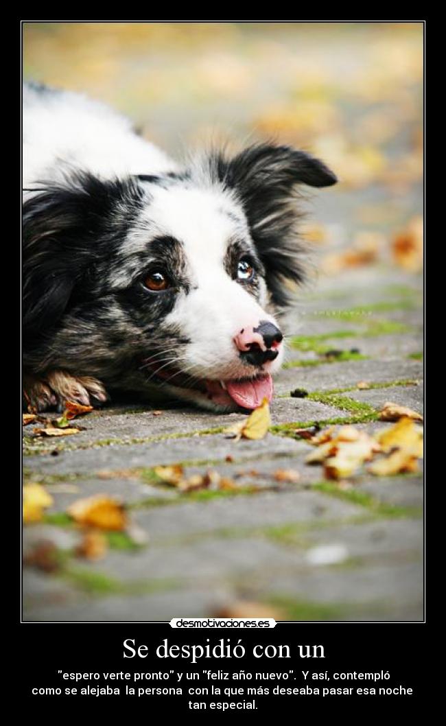 carteles wow desmotivaciones