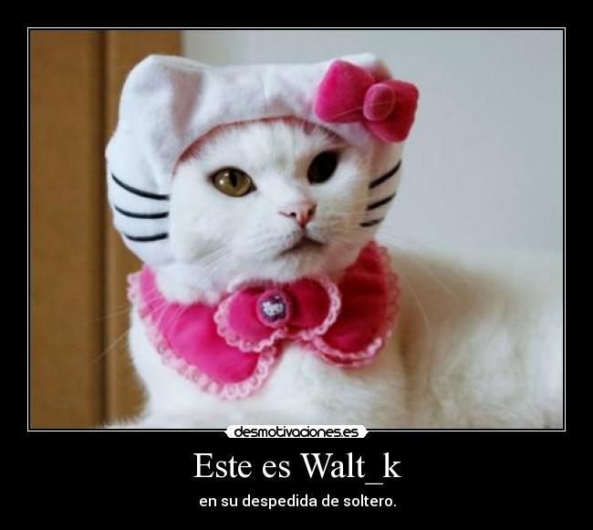 Este es Walt_k -