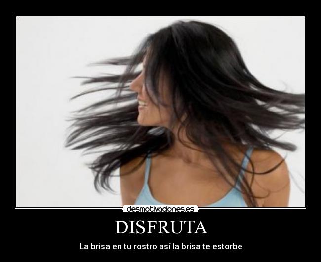 carteles danella abril giraldo desmotivaciones