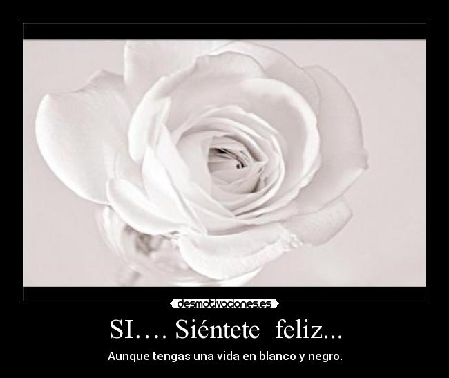 SI…. Siéntete feliz... - Aunque tengas una vida en blanco y negro.