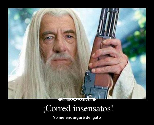 ¡Corred insensatos! - 