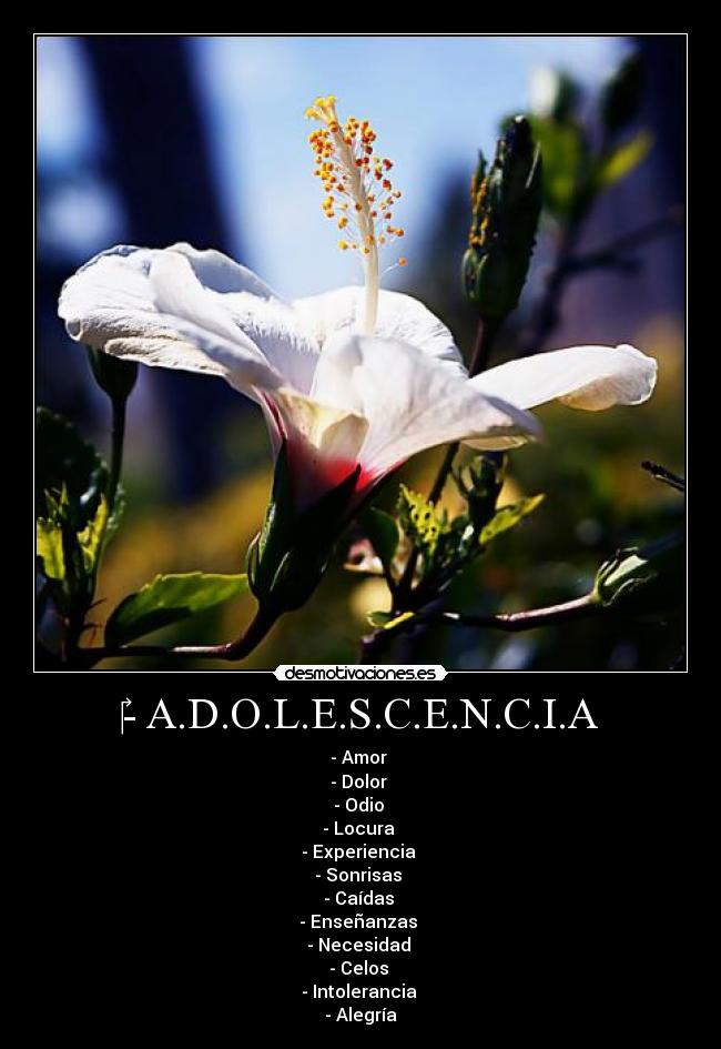 ‎- A.D.O.L.E.S.C.E.N.C.I.A - 