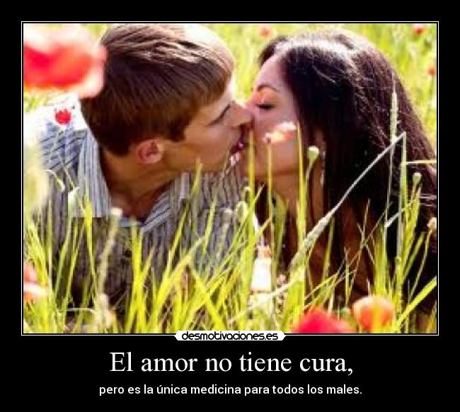 El amor no tiene cura, - pero es la única medicina para todos los males.
