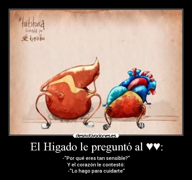 El Higado le preguntó al ♥♥: - -Por qué eres tan sensible?
Y el corazón le contestó:
-Lo hago para cuidarte