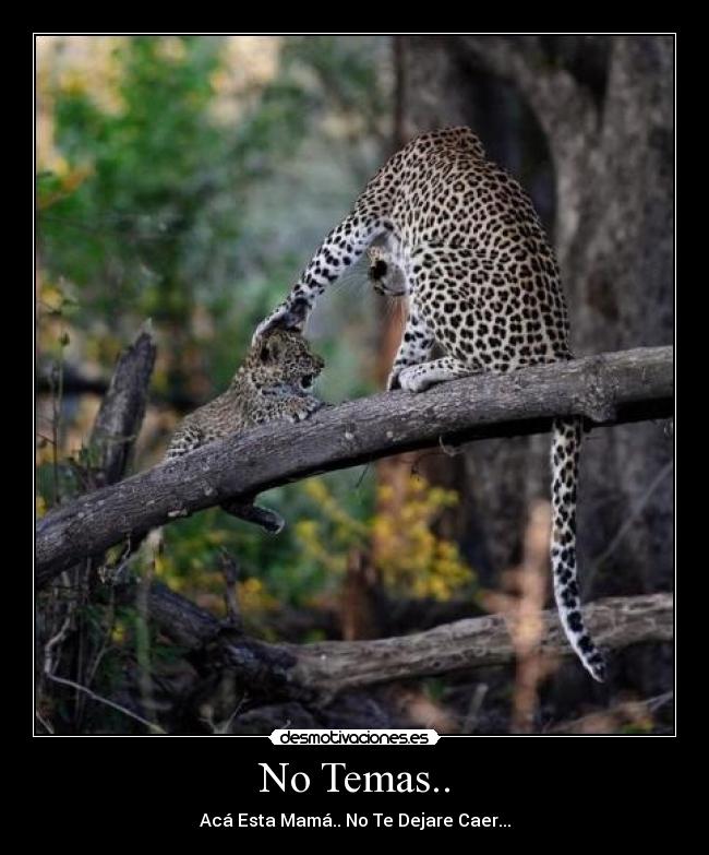 No Temas.. - Acá Esta Mamá.. No Te Dejare Caer...