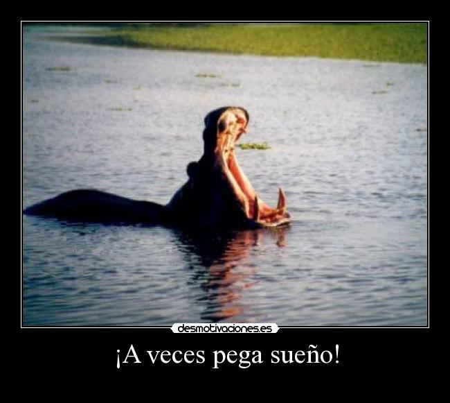 ¡A veces pega sueño! -