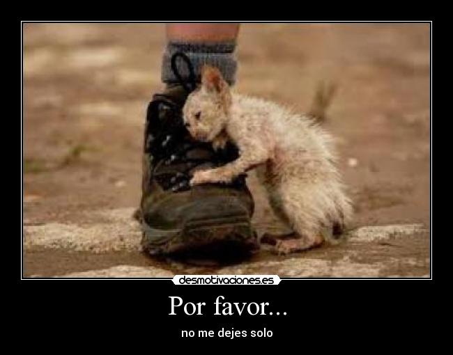 Por favor... - no me dejes solo