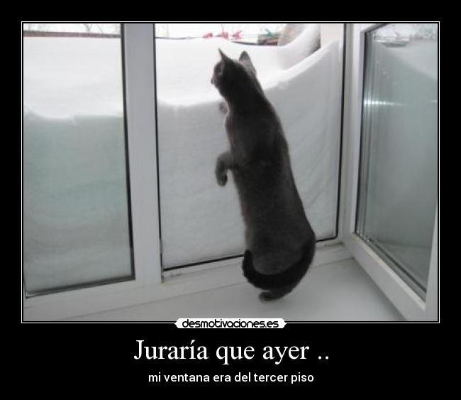 Juraría que ayer .. - mi ventana era del tercer piso