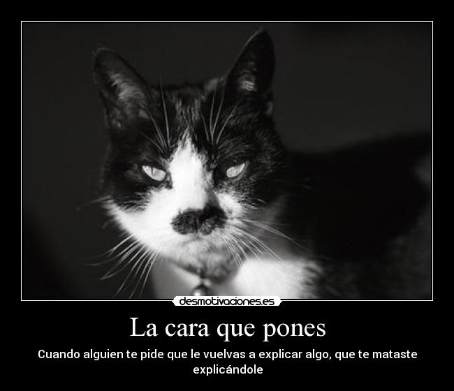 carteles cara desmotivaciones