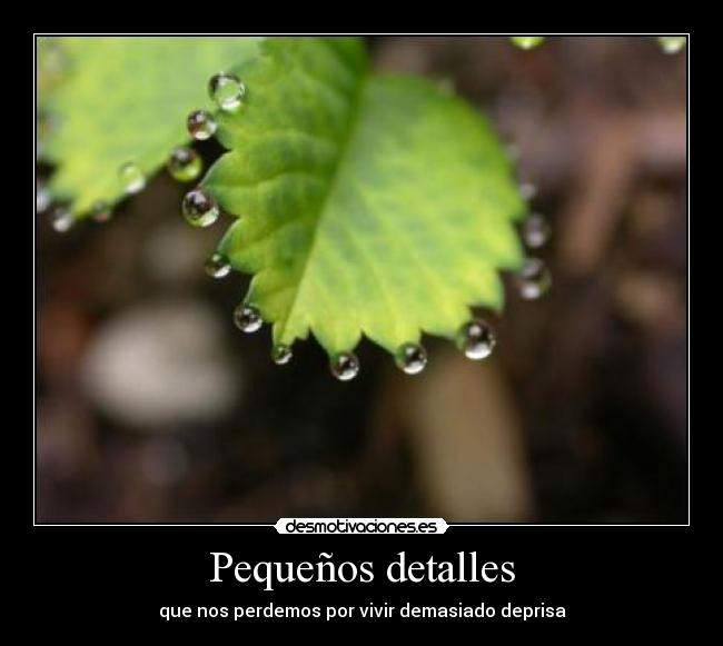 Pequeños detalles - 