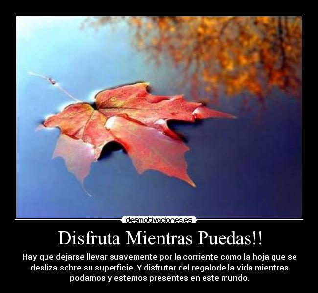 Disfruta Mientras Puedas!! - Hay que dejarse llevar suavemente por la corriente como la hoja que se
desliza sobre su superficie. Y disfrutar del regalode la vida mientras
podamos y estemos presentes en este mundo.