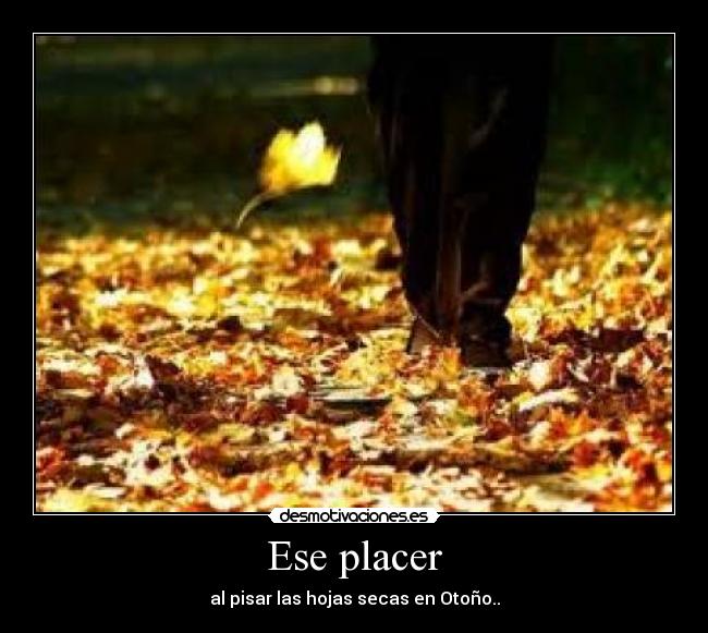 Ese placer -