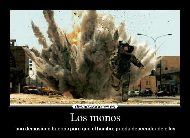 Los monos - son demasiado buenos para que el hombre pueda descender de ellos