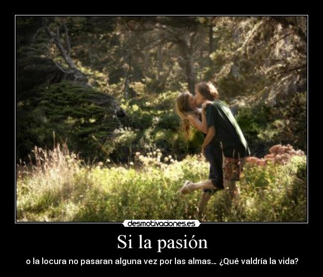 Si la pasión - o la locura no pasaran alguna vez por las almas… ¿Qué valdría la vida?