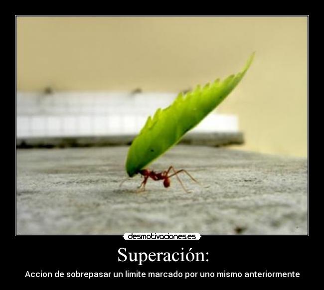 Superación: -