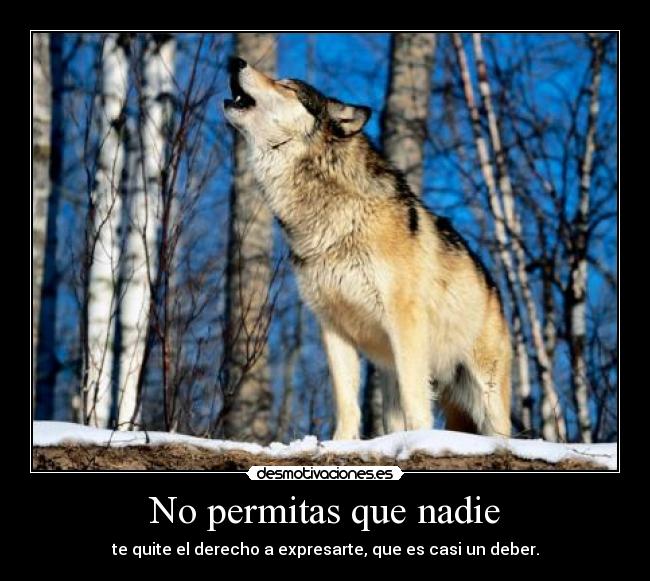 No permitas que nadie - 