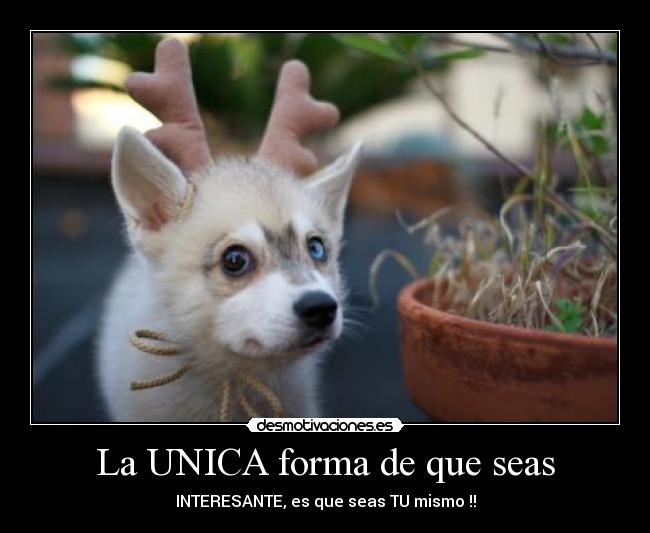 La UNICA forma de que seas - INTERESANTE, es que seas TU mismo !!