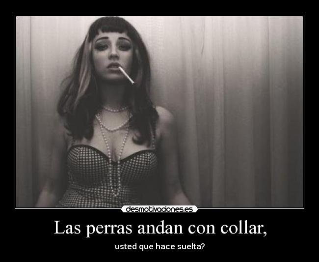 Las perras andan con collar, -