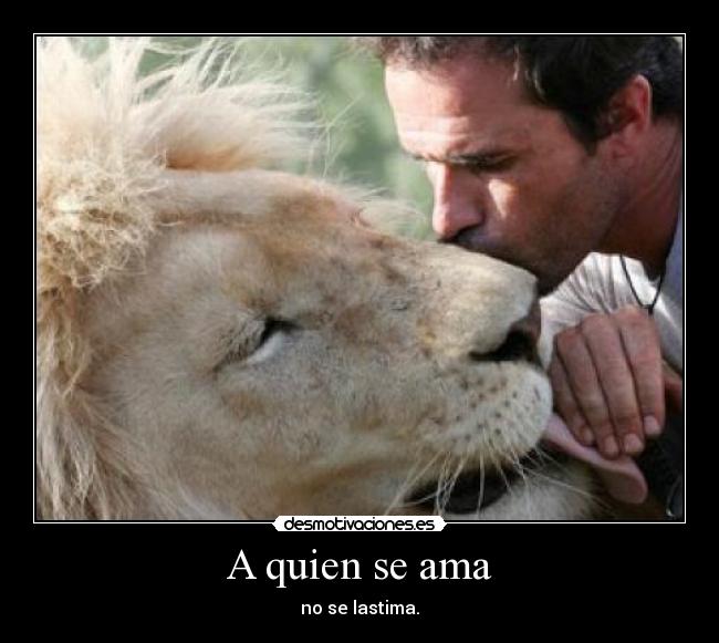 A quien se ama - no se lastima.