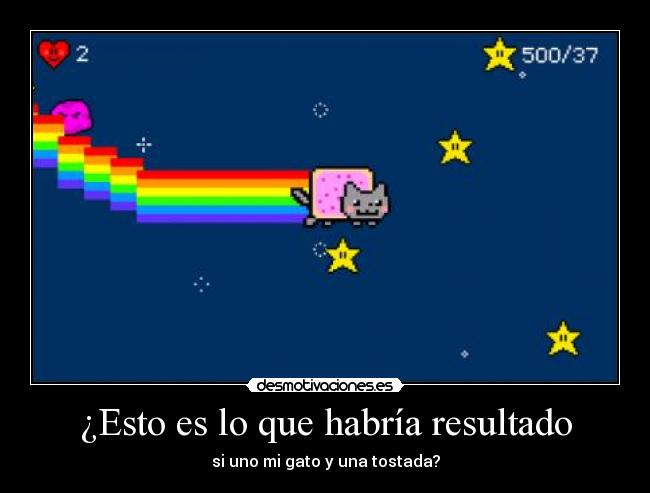 ¿Esto es lo que habría resultado - si uno mi gato y una tostada?